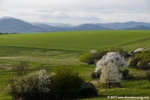 Slovakian Landscape