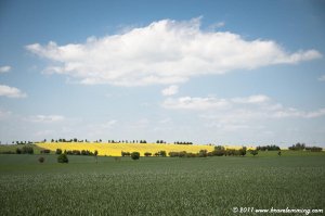 On the road to Brno