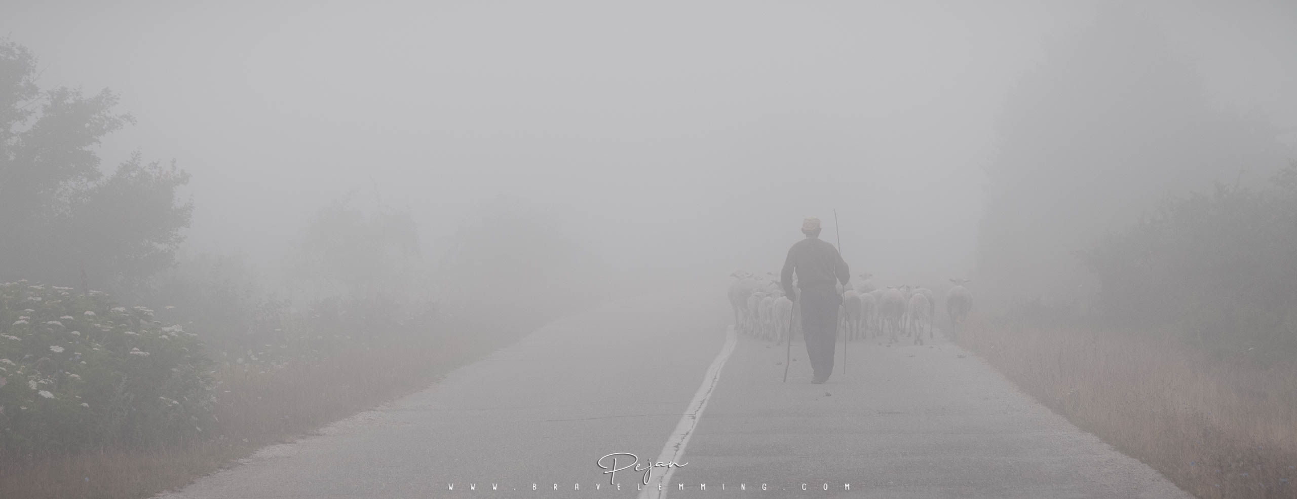 Berger dans le brouillard, Serbie